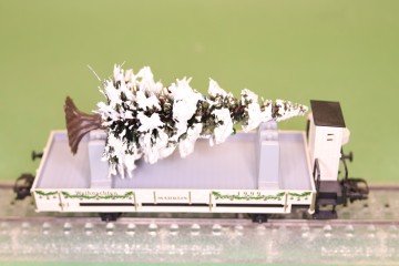 Img7000 0